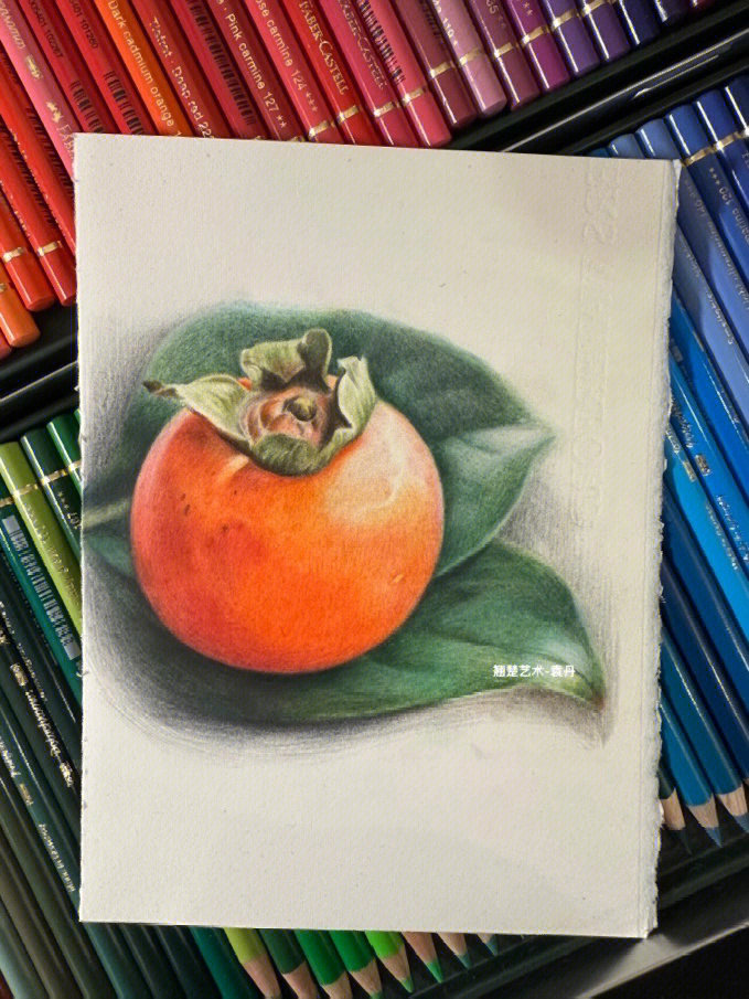 画柿子的作画步骤图片