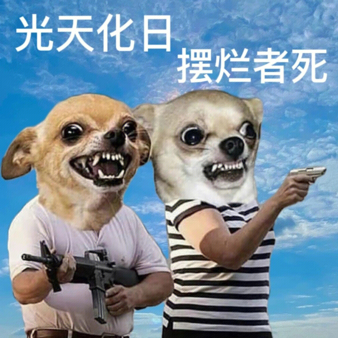 我要废了怕是