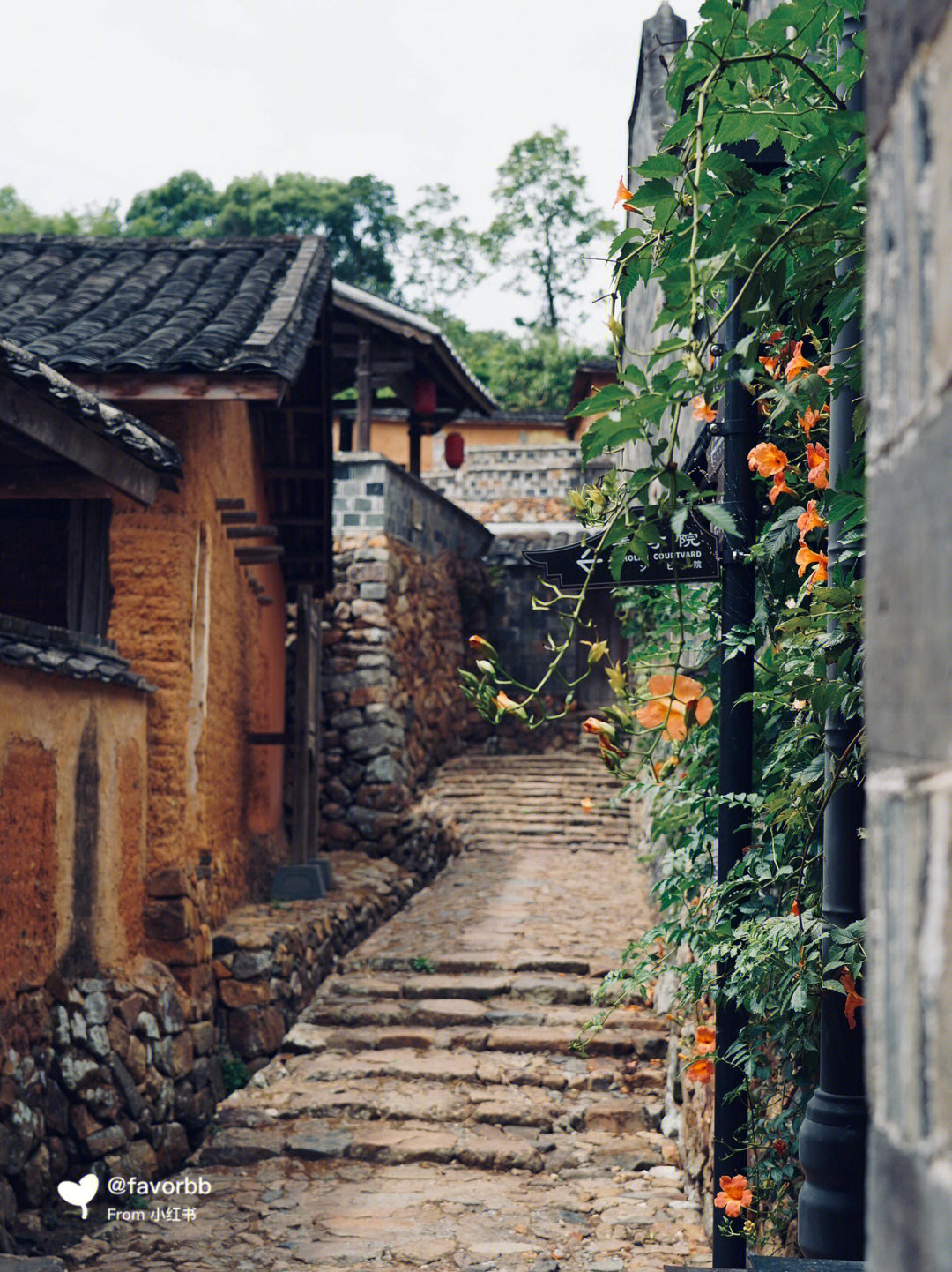 半月里畲族风情图片