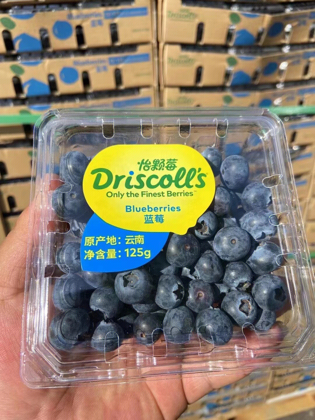 怡颗莓蓝莓超级哇塞的一板货个头大果粉