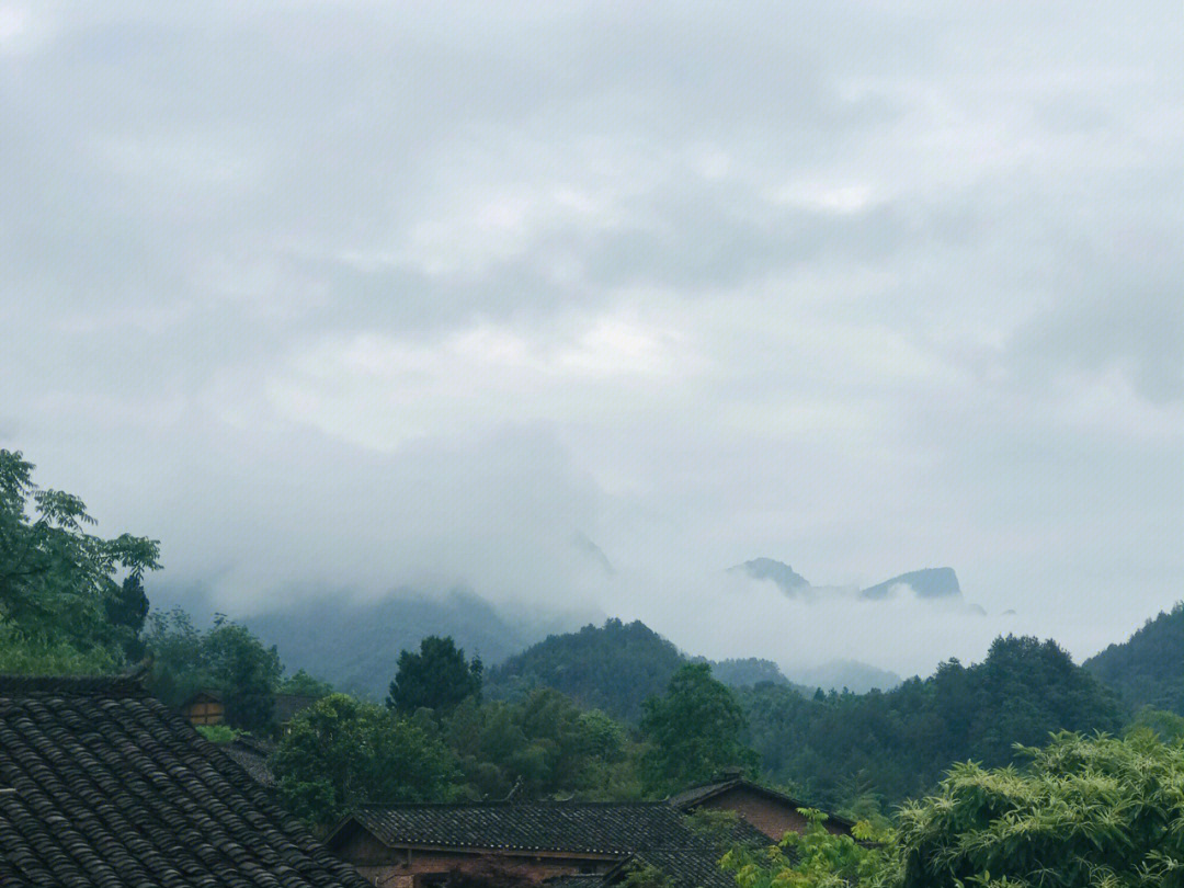 张家界五号山谷在哪里图片