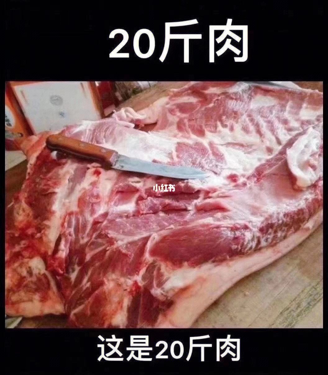 12斤肉有多大一块图片图片