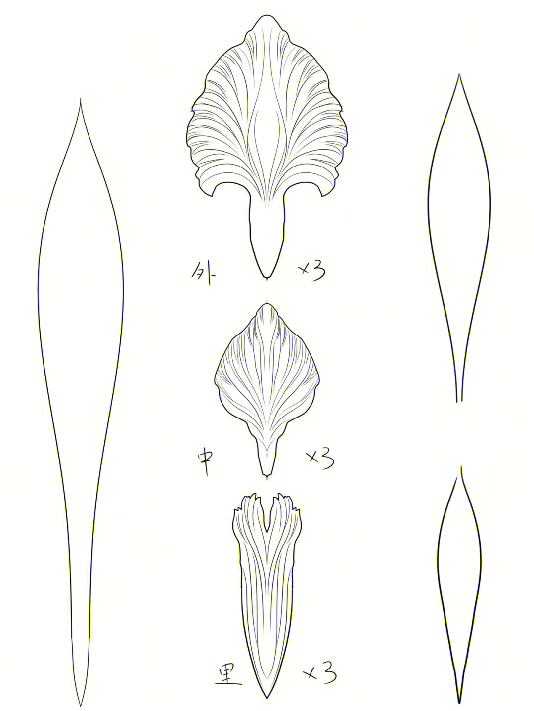 热缩片鸢尾花图纸