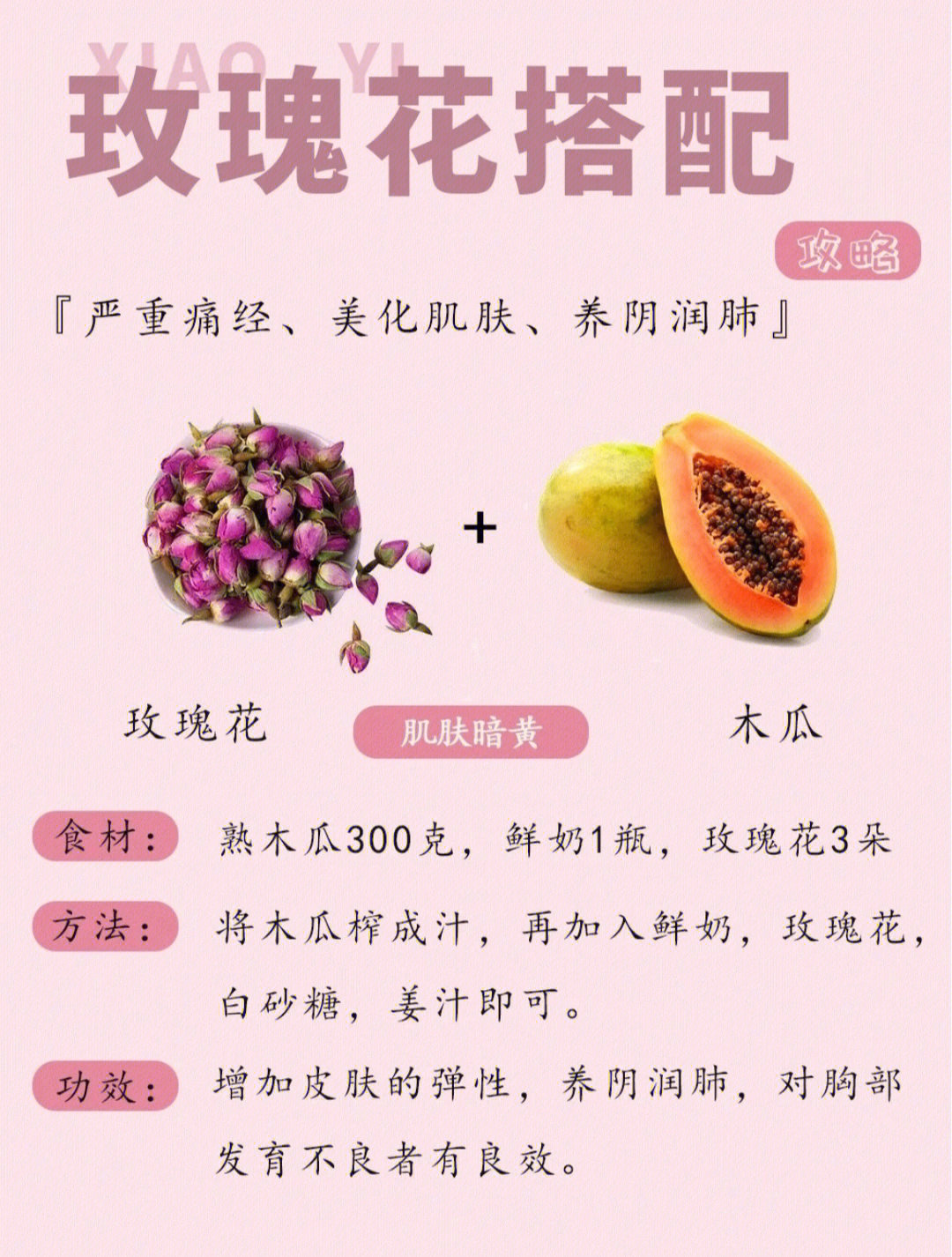 玫瑰花茶的功效与禁忌图片