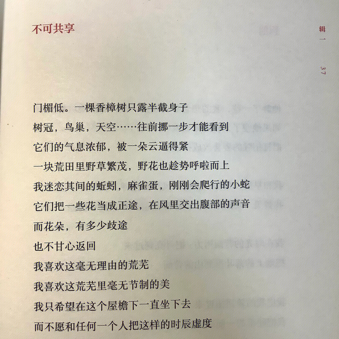 余秀华黄诗欣赏图片