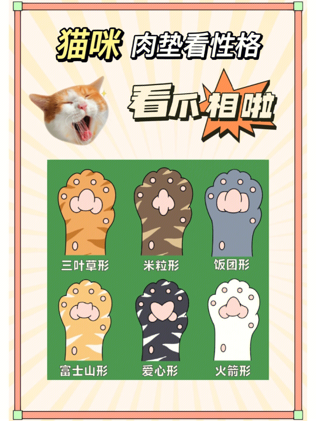 猫咪的肉垫隐藏着猫咪的性格