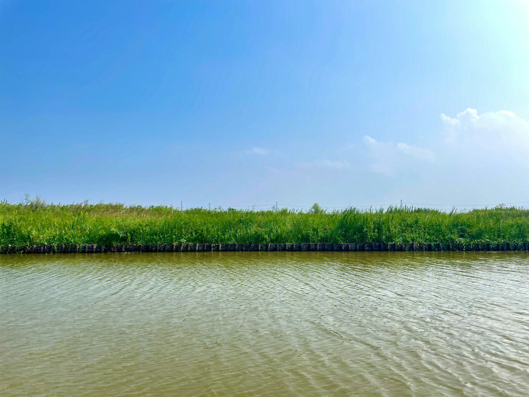 杭州湾湿地公园地址图片