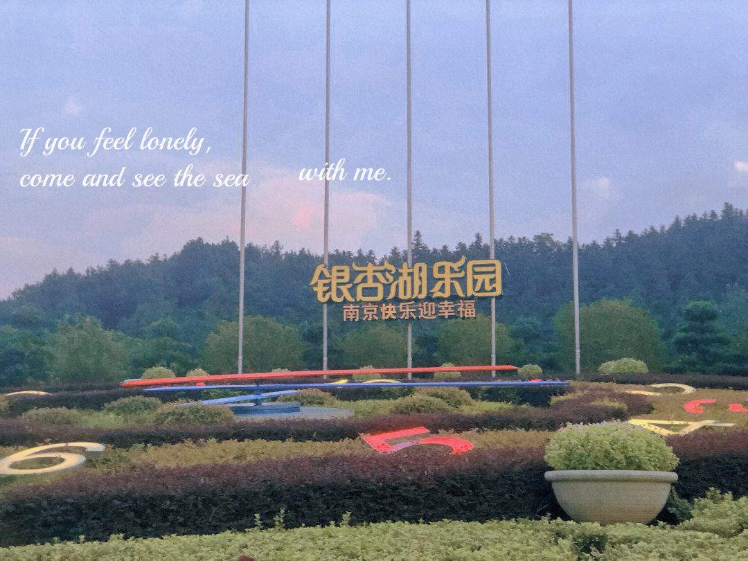 南京银杏湖乐园地址图片