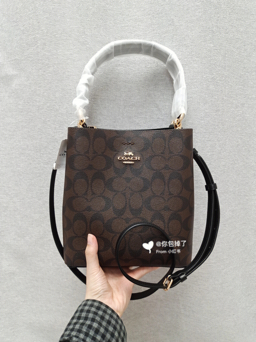 coach logo有几种图片