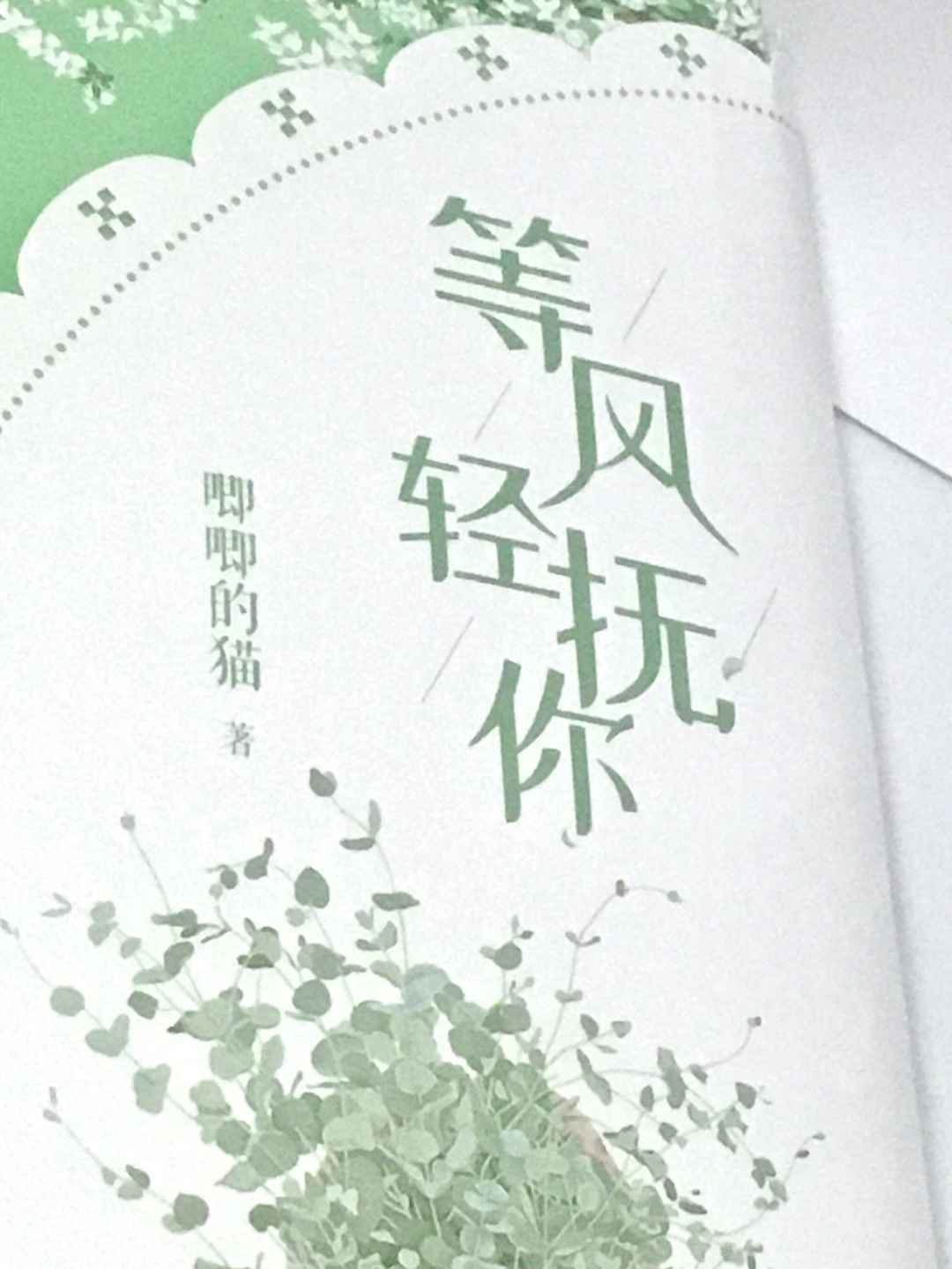 许星纯简介图片