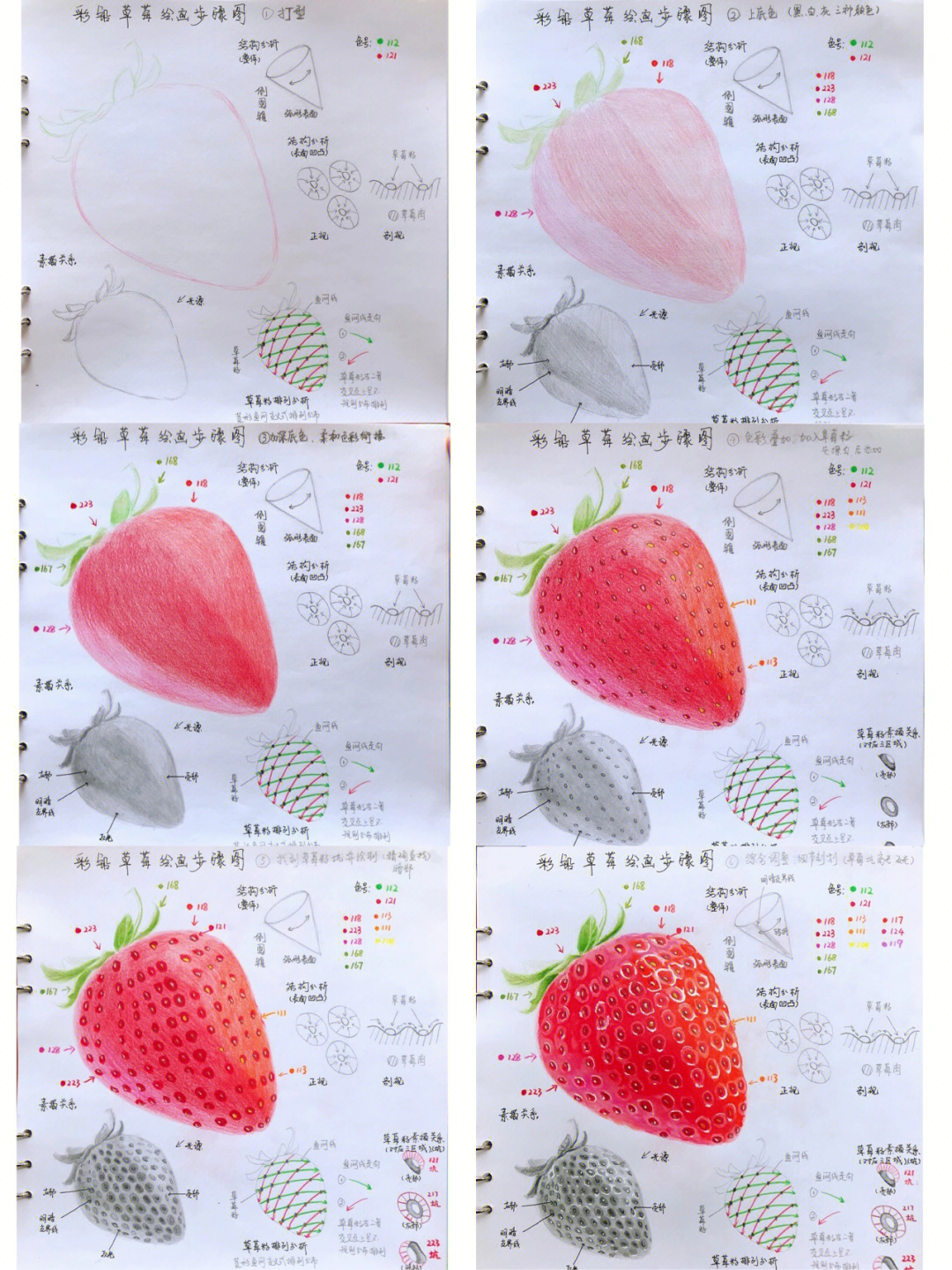 草莓彩铅画静态步骤详细解析最后图8要点