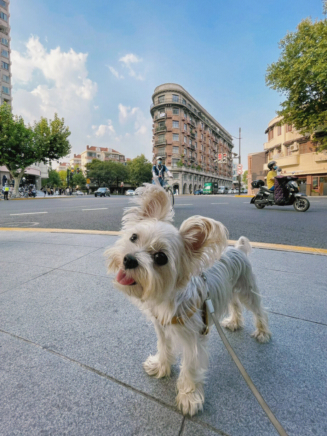 武康大楼剧照图片