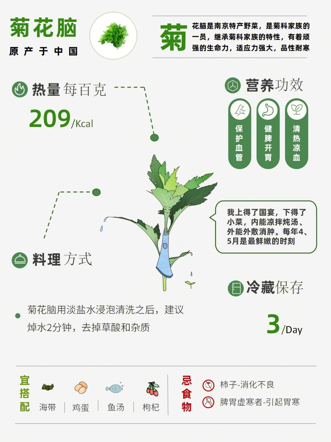 菊花脑介绍一个比较冷门的野菜