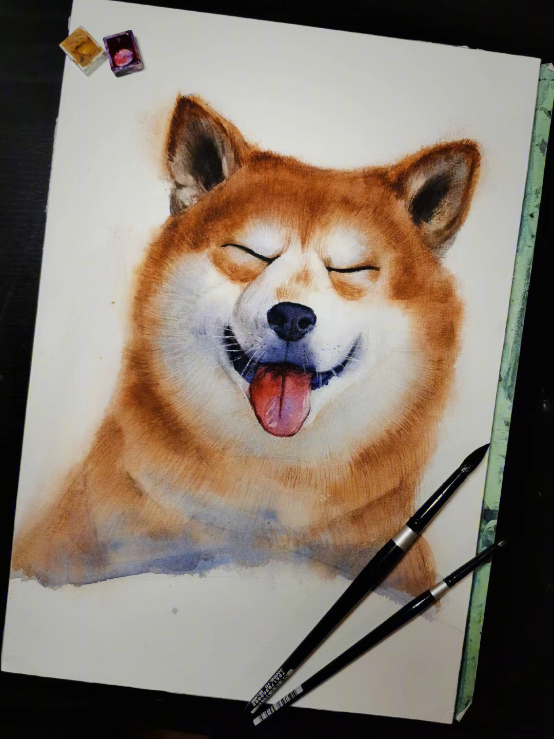 柴犬绘画教程图片