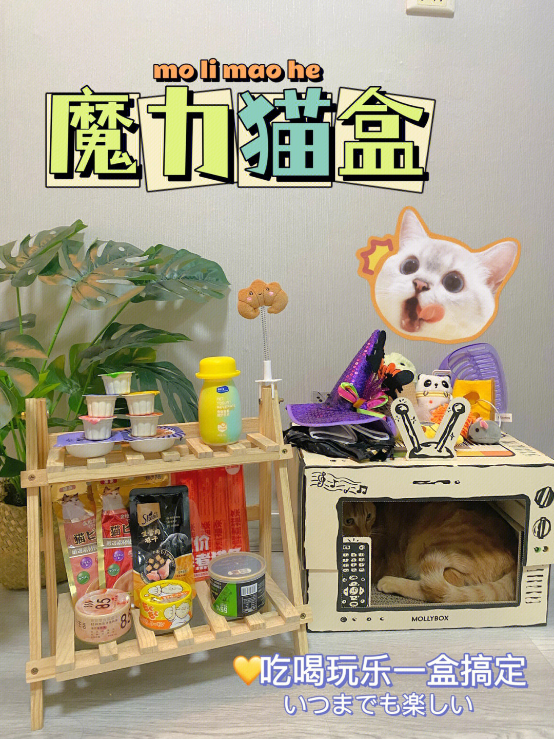 猫扎特魔力喵本人图片