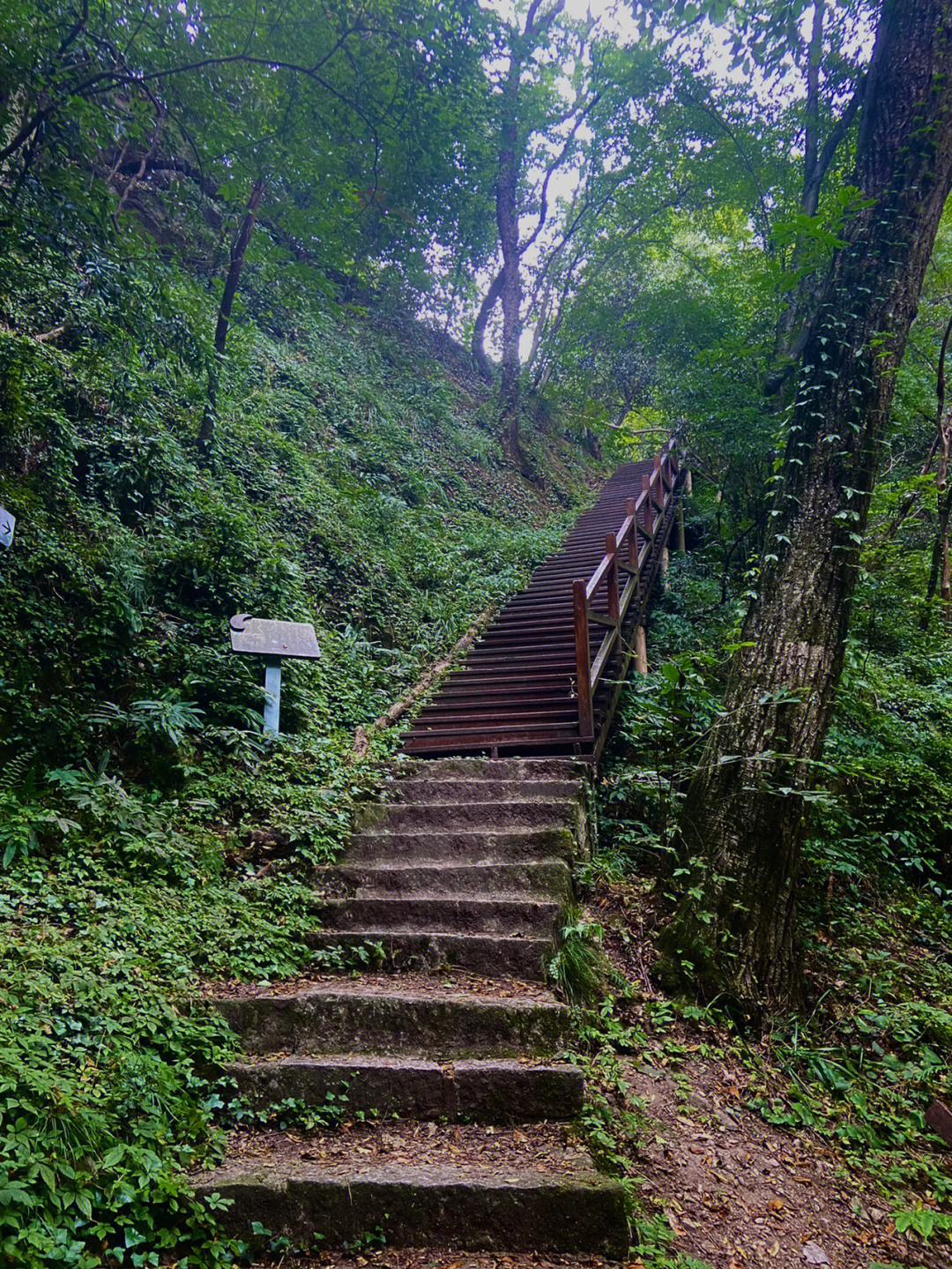 信阳波尔登森林公园