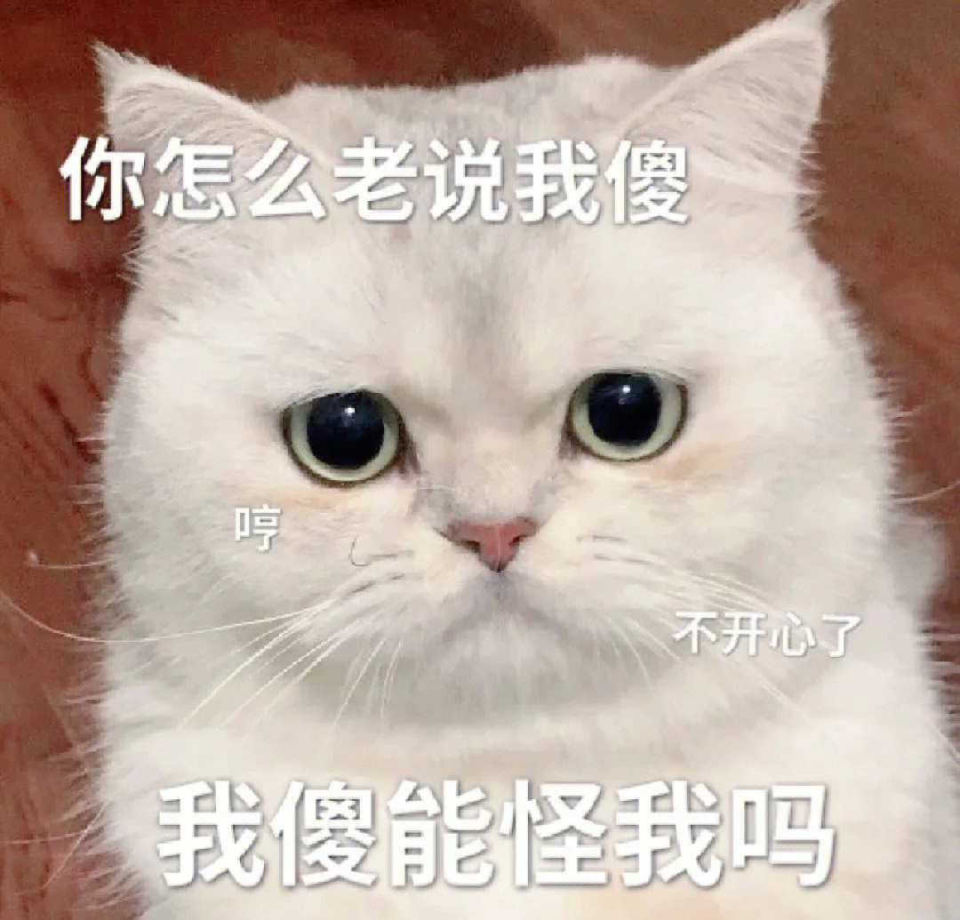 可爱猫猫表情包