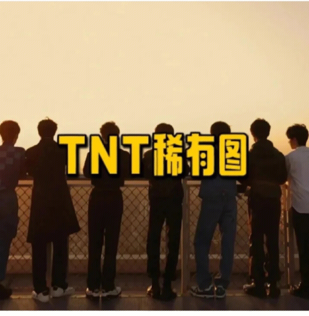 TNT每个人代表动物图片