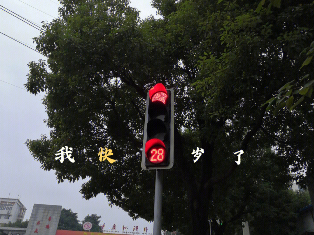 红绿灯27秒图片