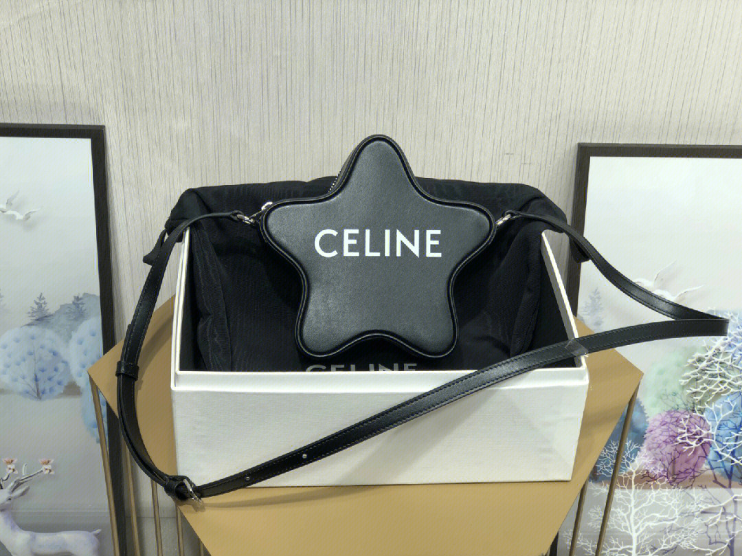 celine哪些包绝版图片