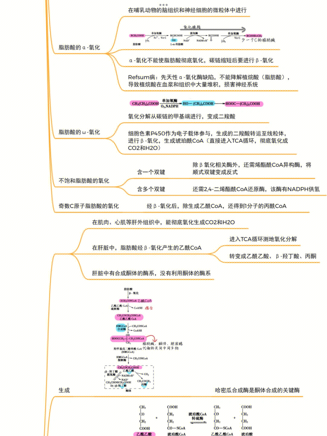 脂肪烃思维导图图片