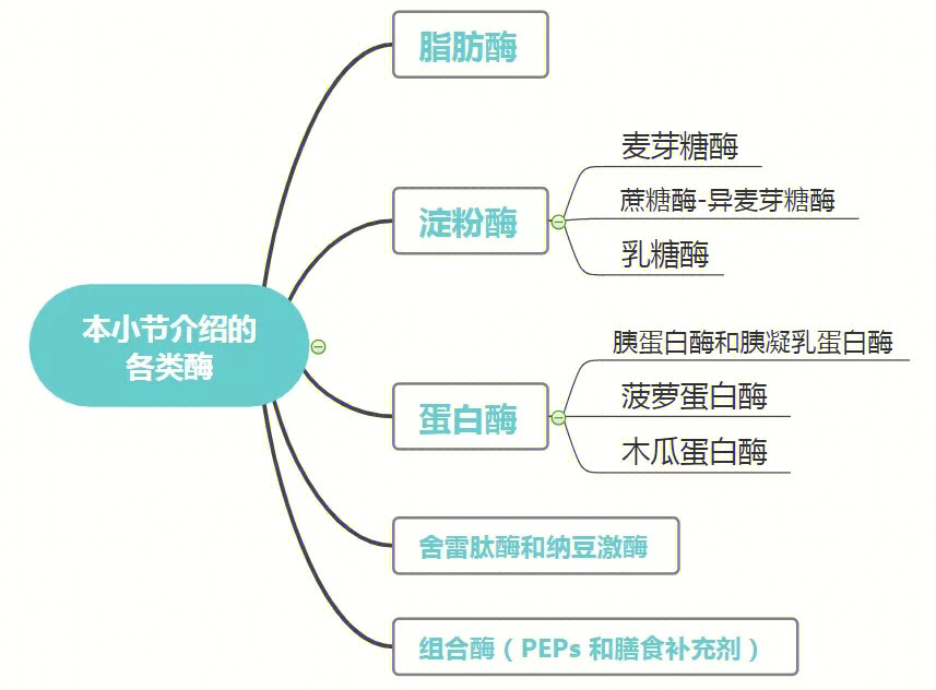 消化酶图片报价图片