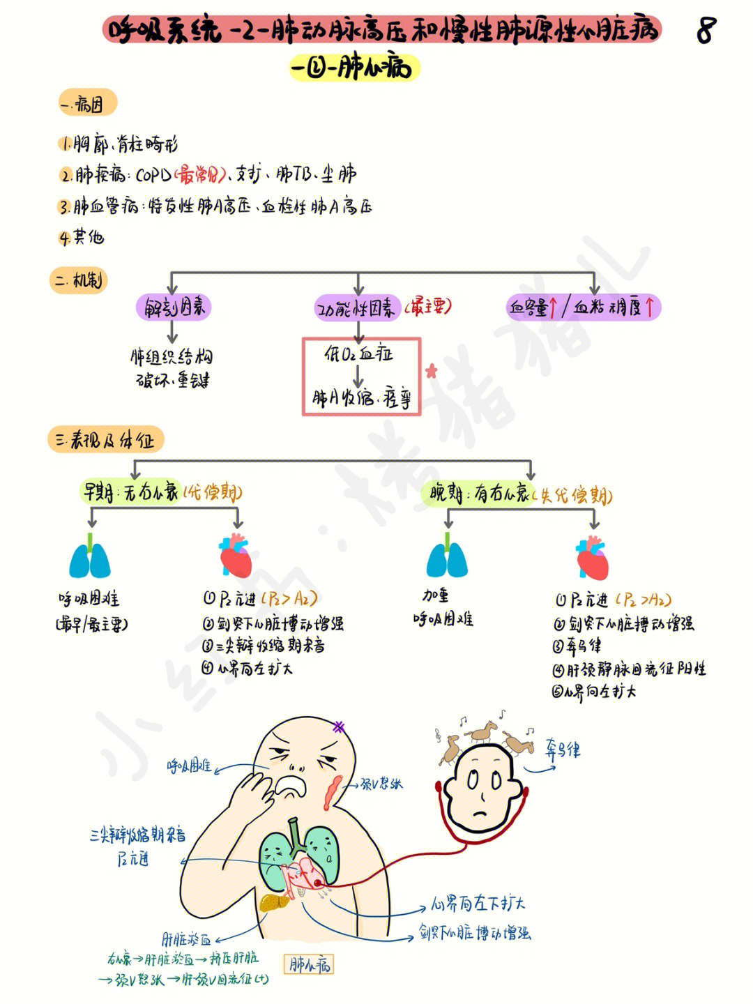 肺心病图解图片