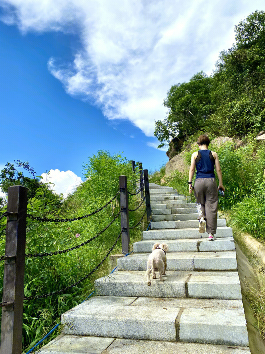 爬黄杨山最佳上山路线图片