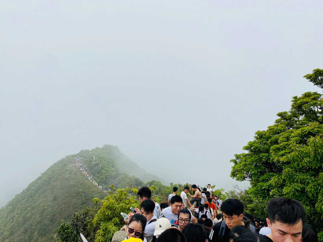 深圳梧桐山位置图片