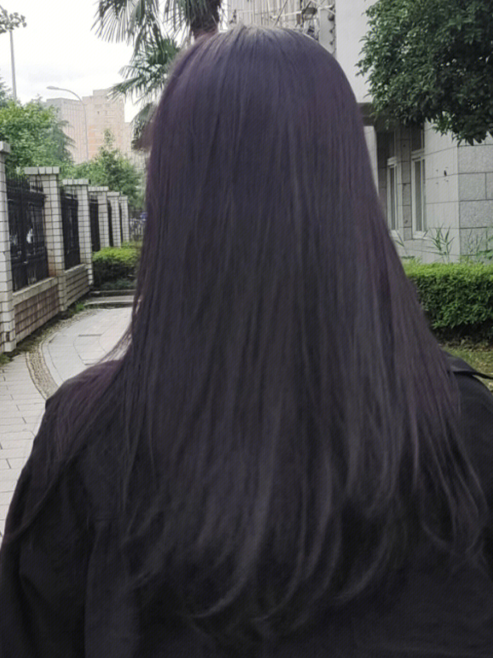 黑发直染黑紫色