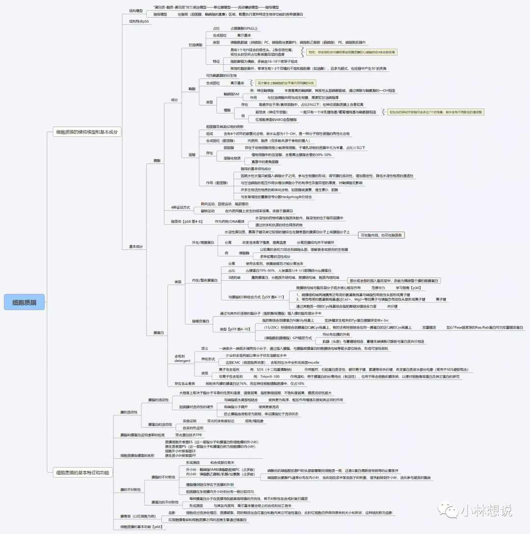 细胞癌变思维导图图片