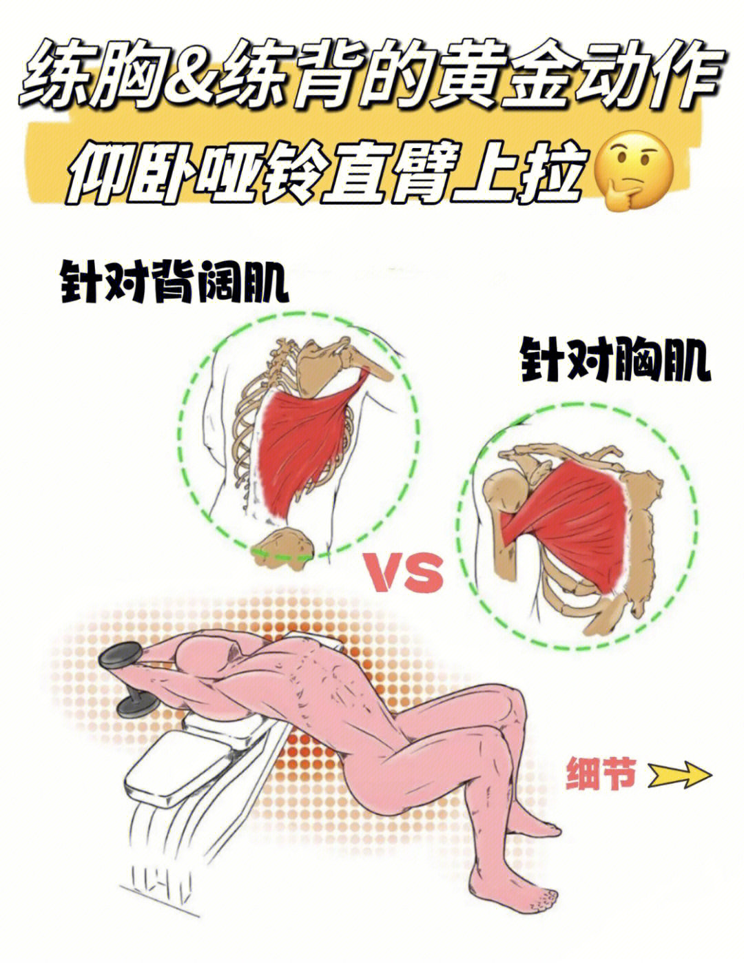 肌训练99动作要点离心下放阶段肘关节微向外打开可更好地拉伸胸大肌