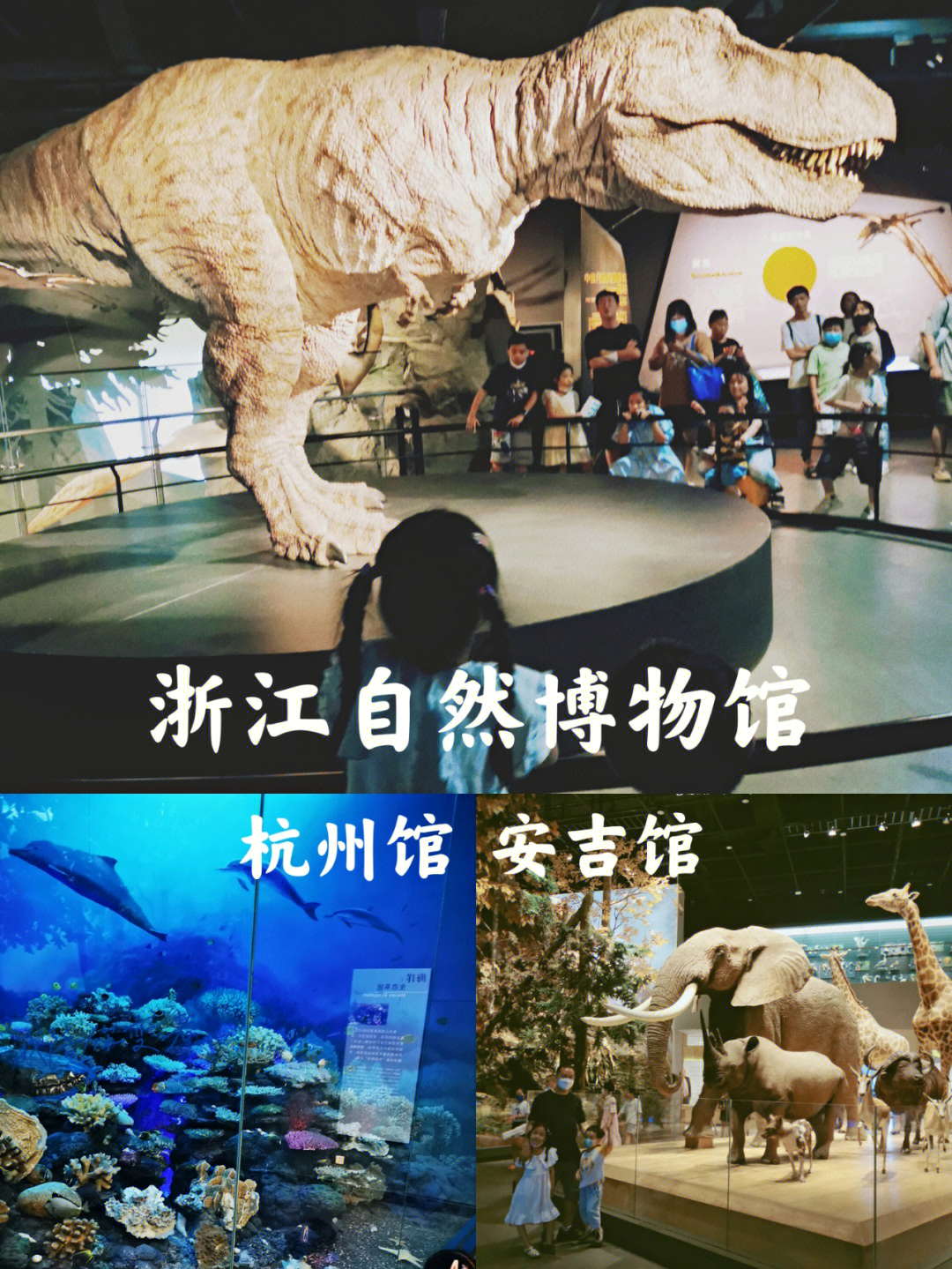杭州自然博物馆介绍图片