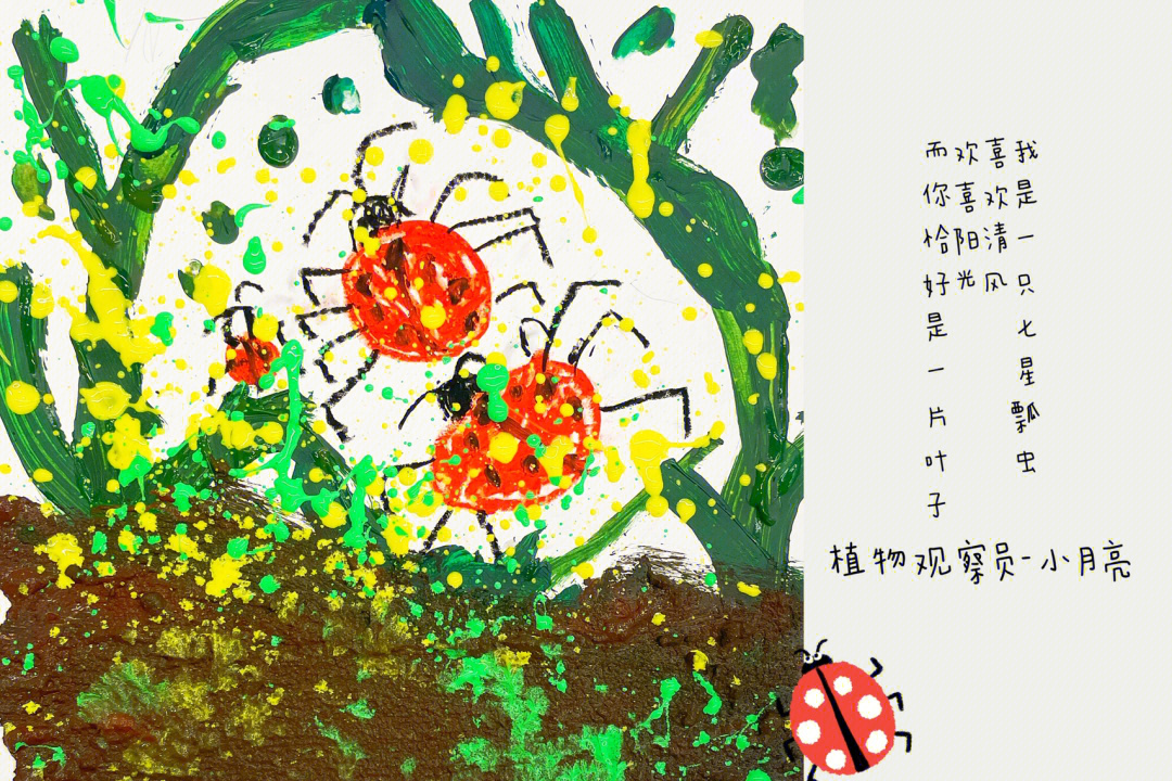 七星瓢虫的颜色描写图片