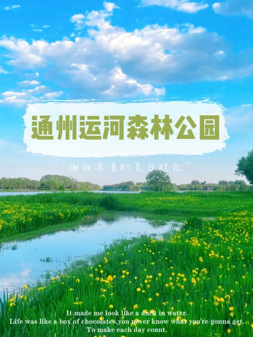 大运河森林公园游览图图片