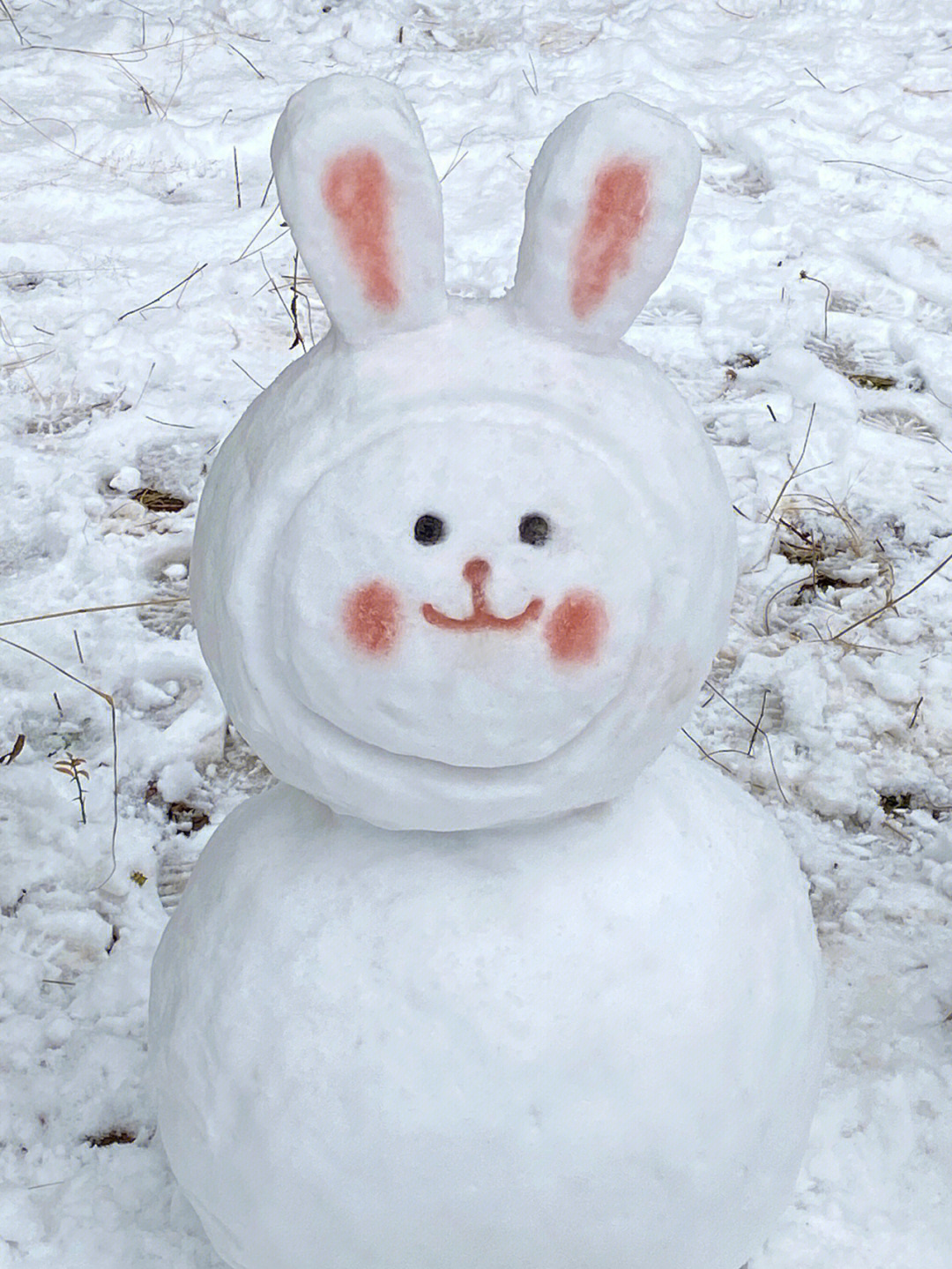 树上的兔子雪人图片
