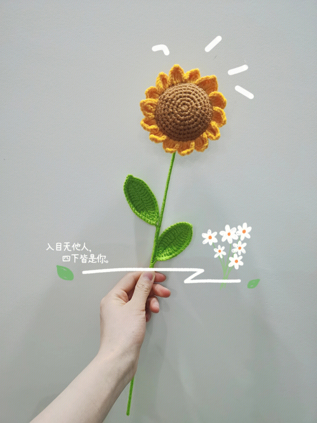 小太阳花的钩法图解图片