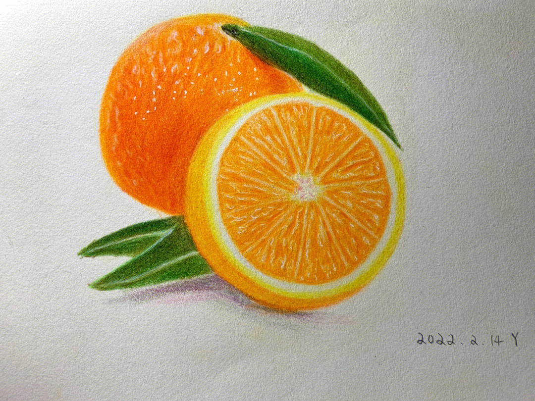 橘子彩铅画教程图解图片