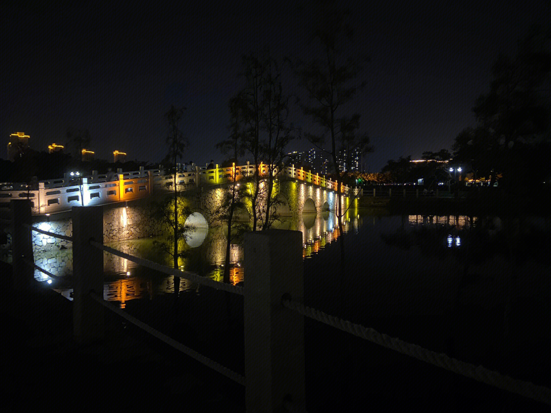 孝昌官塘湖公园夜景图片