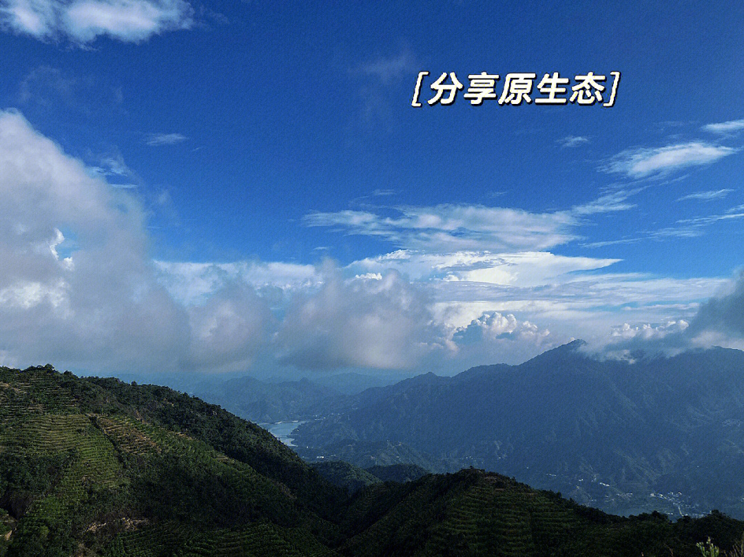 潮州凤凰山景点介绍图片