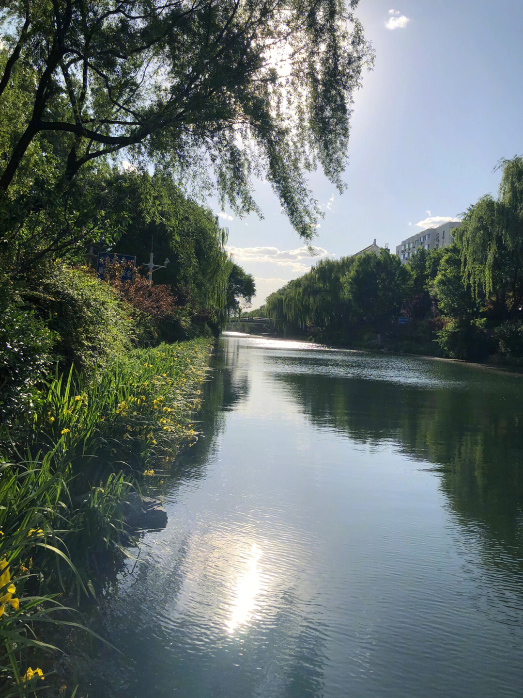 藏在北京二环的城市绿洲