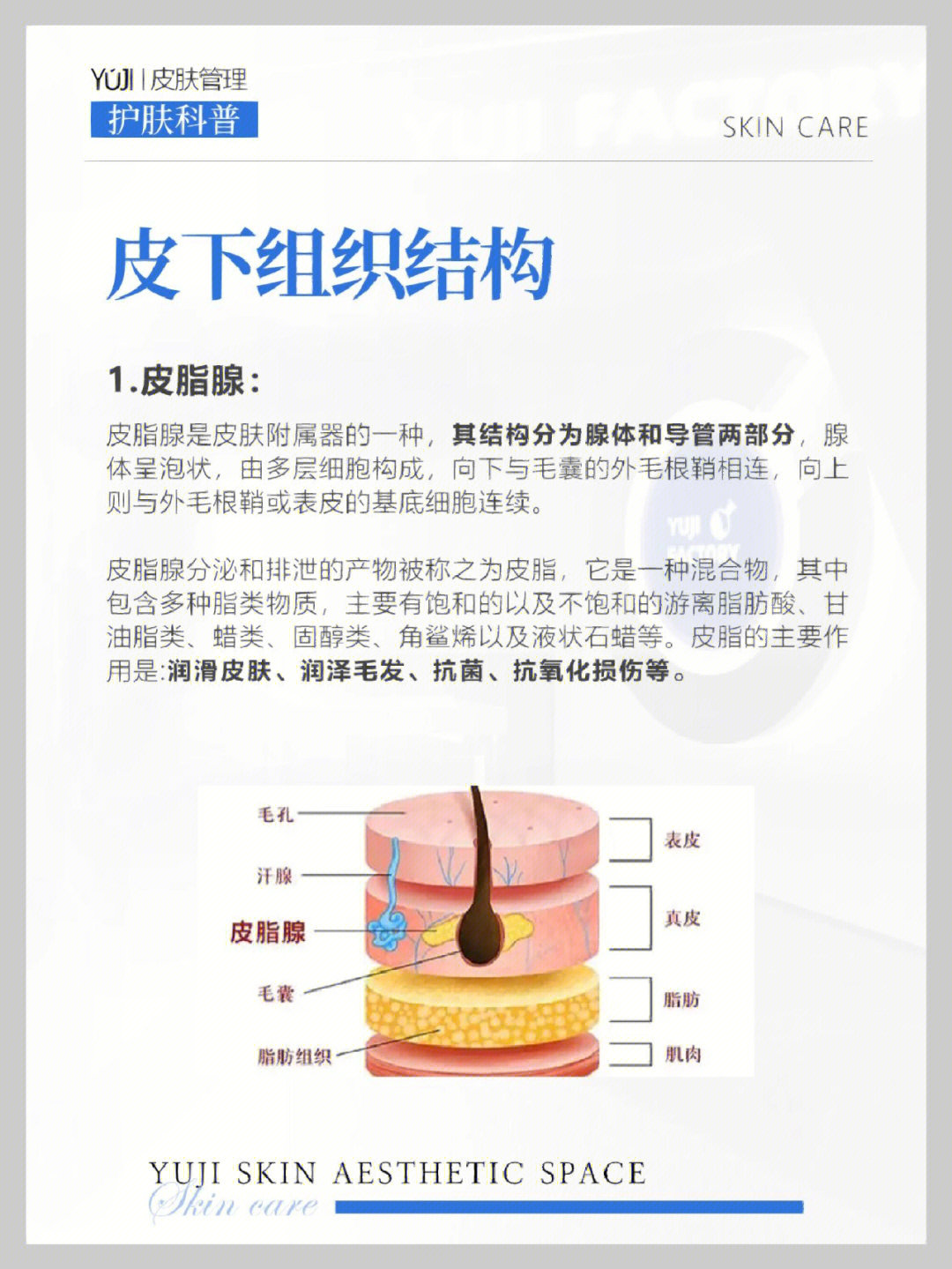 了解皮肤的原理皮下组织结构知识必学