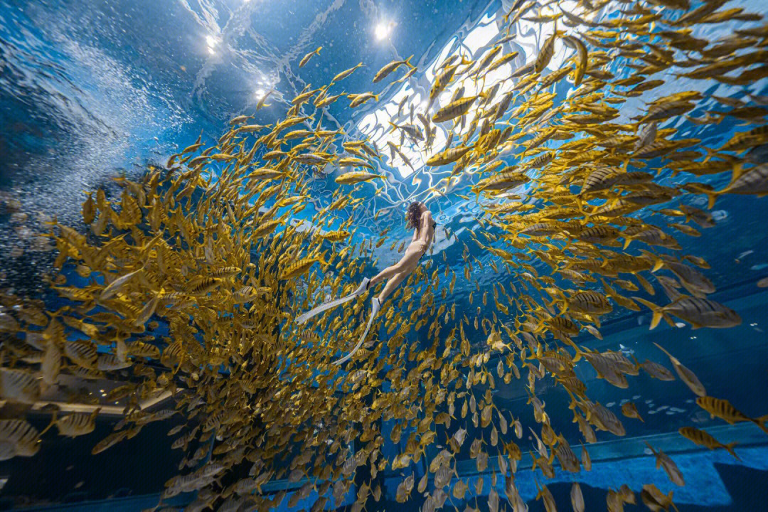 体验控鱼术的快乐自由潜水 三亚水下摄影 三亚自由潜 三亚旅游 美人鱼