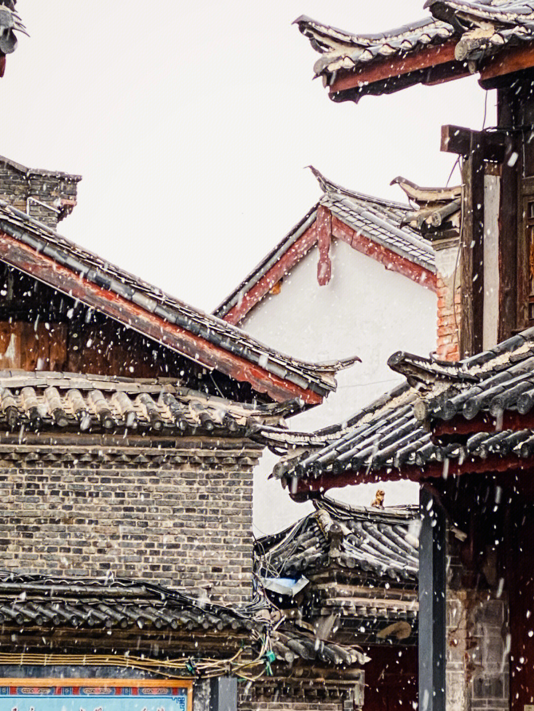 丽江古城雪景图片