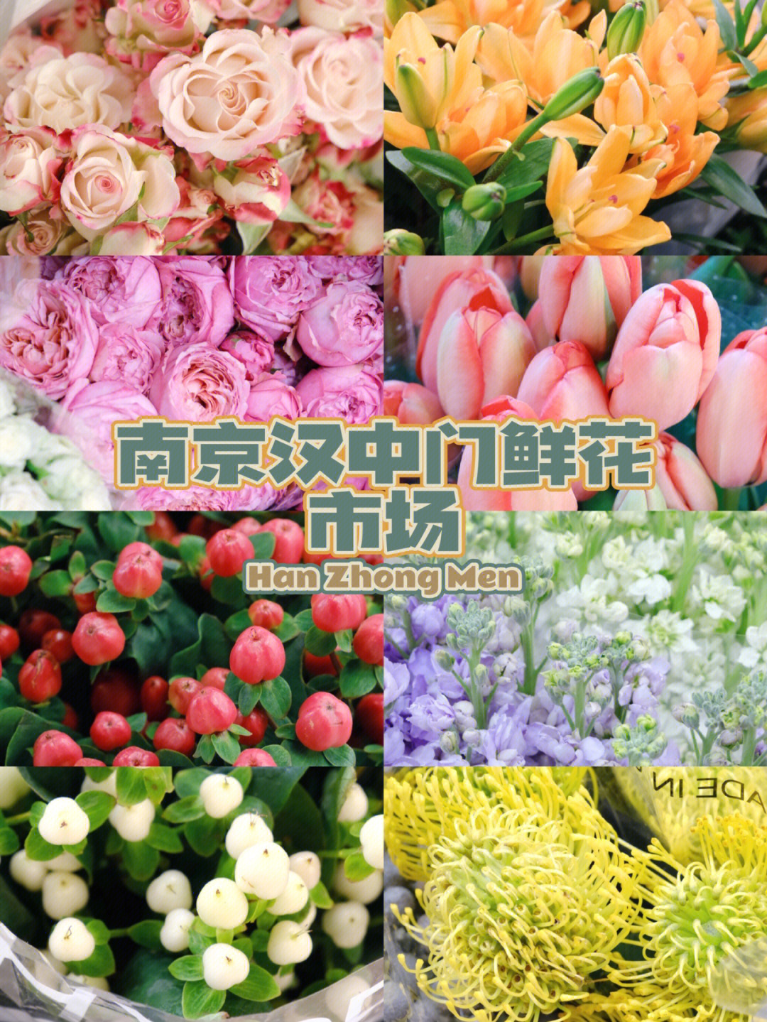 植南京汉中门鲜花市场品种齐全还超便宜