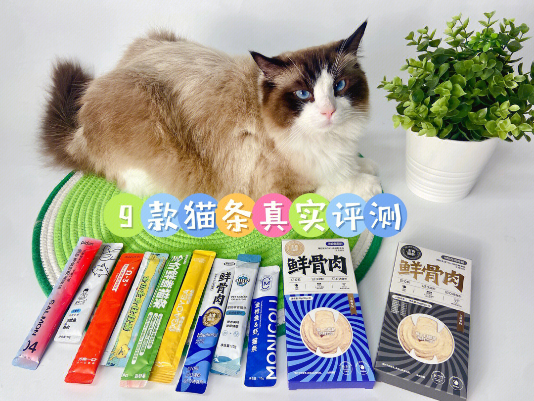 猫条卡拉胶图片