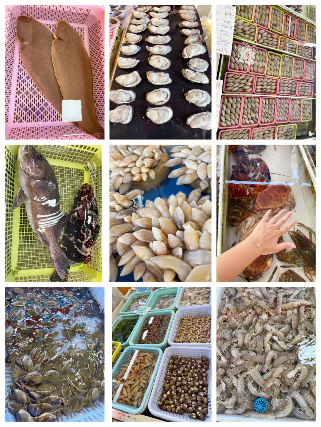 广州南沙十九涌海鲜市场