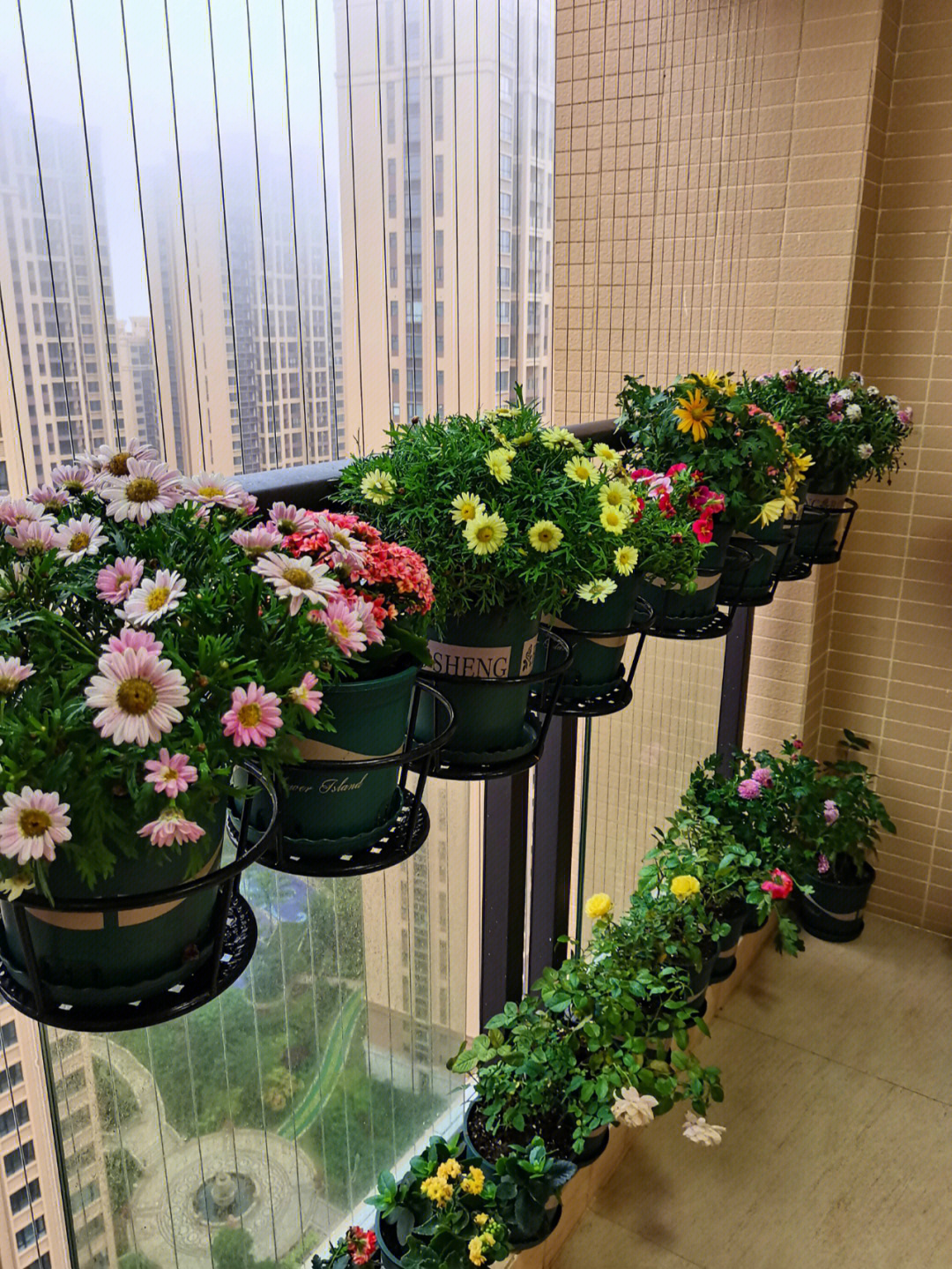 阳台种花