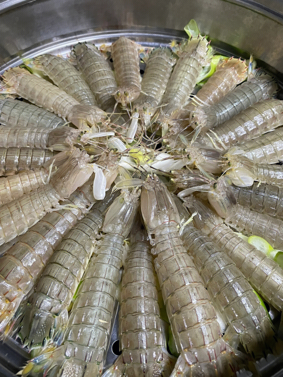 皮皮虾图片实拍图片