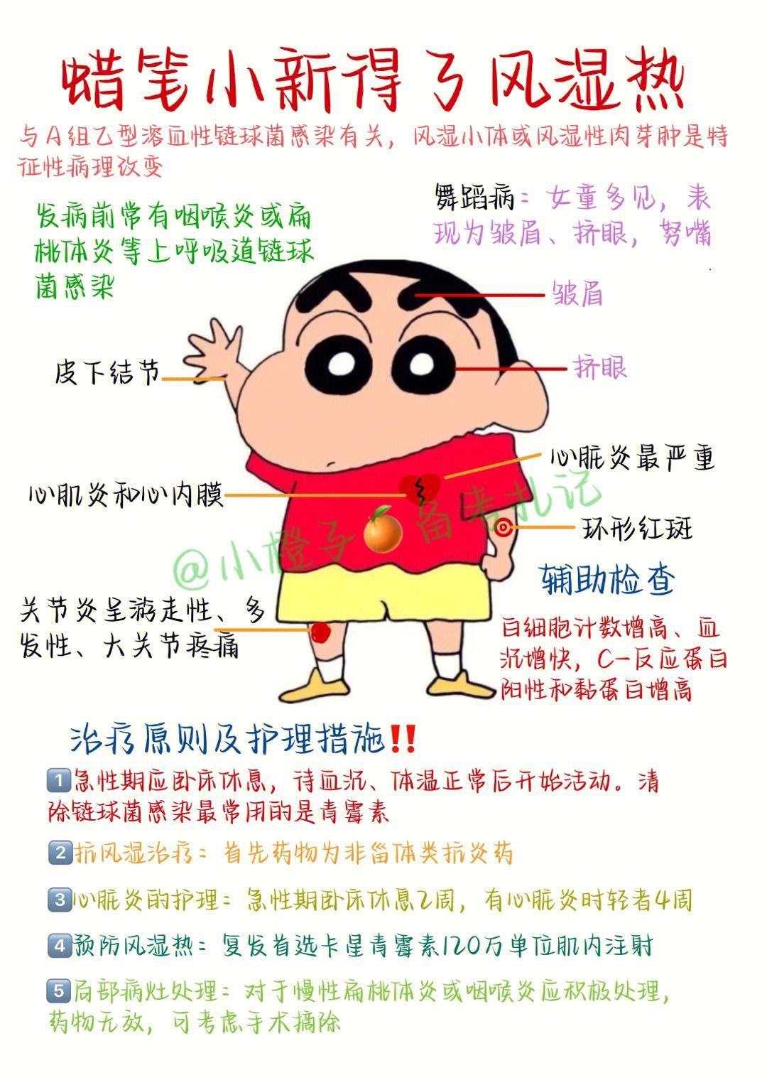 乙型溶血性链球菌手绘图片